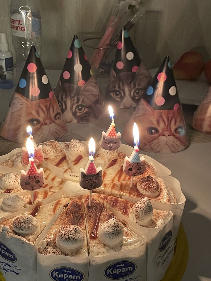 cat candle